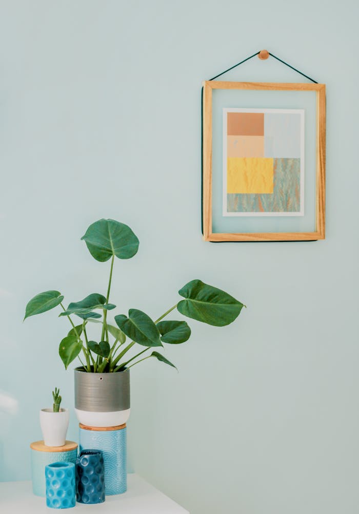 services-03 A minimalist interior with a Monstera plant, framed abstract art, and home decor elements.